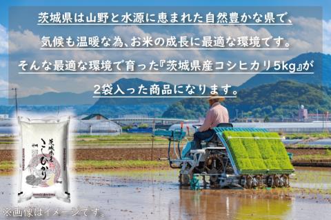 令和5年産  茨城 コシヒカリ 10kg (5㎏×２袋) 米 お米 おこめ 白米 ライス ご飯 精米 こしひかり 国産 茨城県産