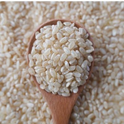 ふるさと納税 藤岡市 有機こしひかり【玄米】500g×20袋(令和7年産)