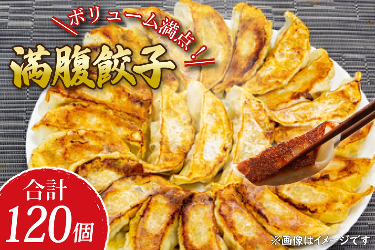 
            リピーター続出！ボリューム満点！満腹餃子120個（３kg ）【老舗 大容量 国産 焼き餃子 冷凍 ぎょうざ ギョーザ 冷凍餃子 簡単調理 惣菜 おかず 水戸市 水戸 茨城県 10000円以内 1万円以内】（EJ-13）
          