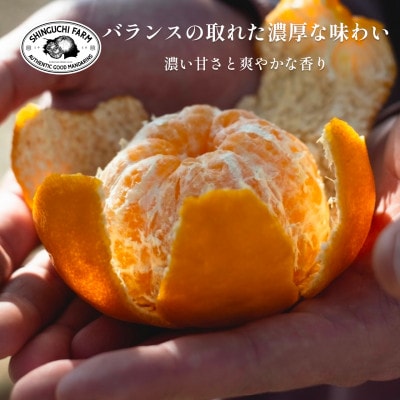 創業百八年 愛媛みかんの老舗【ポンカン 3kg】家庭用【新口農園】【C70−64】【1614988】