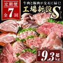 【ふるさと納税】【定期便7回】工場新設Sコース (合計9.3kg超) 国産 肉 牛肉 豚肉 厚切り 切り落とし 霜降り すきやき しゃぶしゃぶ 牛しゃぶ 冷凍 ロース カタロース 肩ロース サーロイン ステーキ アウトドア BBQ 食べ比べ セット【サンキョーミート株式会社】