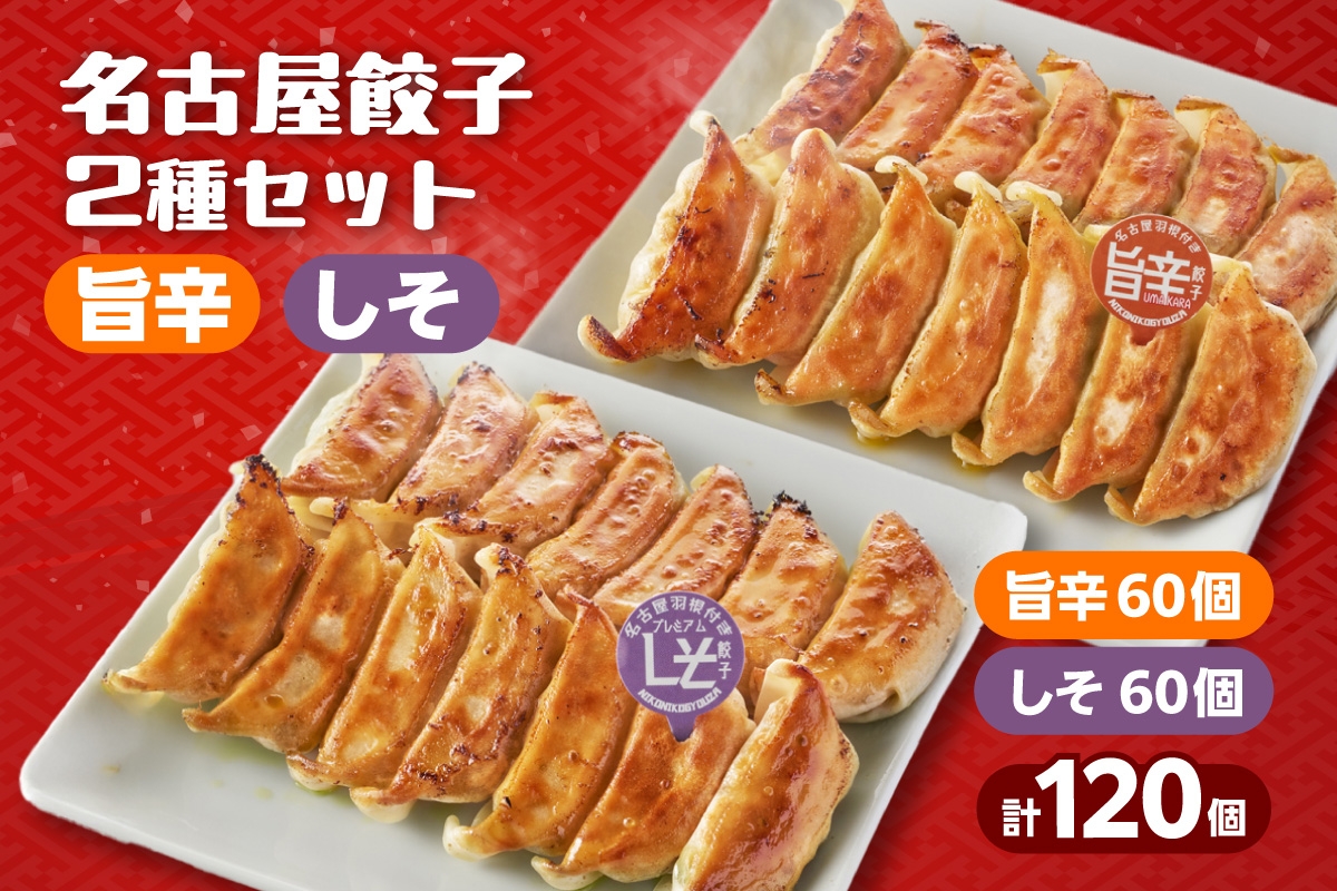
                  にこにこ餃子の名古屋餃子2種セット（120個入）（2344）
                