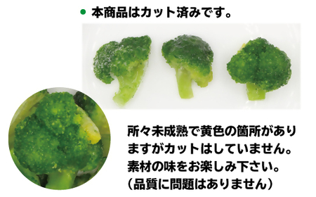 福岡県産 冷凍ブロッコリー2kg（1kg×2袋）[H2257]