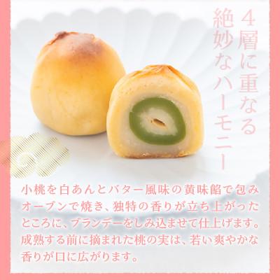 ふるさと納税 甲州市 皇室献上菓匠三省堂　ありそうでなかった、桃の実の桃山『桃ゆめ』10個化粧箱入 本格和菓子 |  | 01