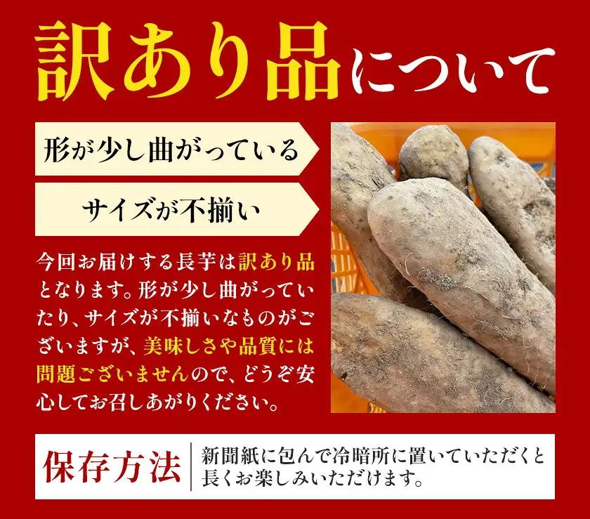 2026年 先行予約【訳あり】十勝豊頃産 ながいも 10kg 植村農場 《12月上旬-12月末頃出荷予定》