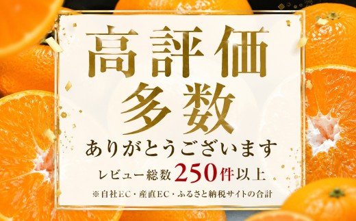 ＜香り立つ果実 愛媛県産伊予柑 合計約7.5kg＞『2027年1月上旬～2月下旬迄に順次出荷予定』 訳あり あまい 爽やかな香り ミカン 蜜柑 ご家庭用 果汁 果物 くだもの フルーツ オレンジ 柑橘