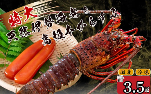 特大伊勢海老 5匹 本からすみ 500g 【 特大サイズ 急速冷凍 えび エビ からすみ カラスミ 珍味 鮮魚 海鮮 魚介 魚卵 刺身 焼き物 汁物 セット ギフト 贈答 贈り物 祝い 歳暮 中元 】 IKY065 【高知県】