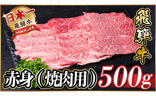 レビューキャンペーン実施中!飛騨牛　厳選赤身(焼肉・BBQ用)500g　A4～A5等級【冷凍便】【配送不可地域：離島】