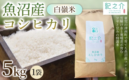 【令和8年産 先行予約】魚沼産コシヒカリ 白嶺米 5kg(5kg×1袋) | 新潟産コシヒカリ 新潟県産コシヒカリ 魚沼産こしひかり 米 お米 こしひかり 白米 精米 ブランド米 津南町 株式会社紀之介