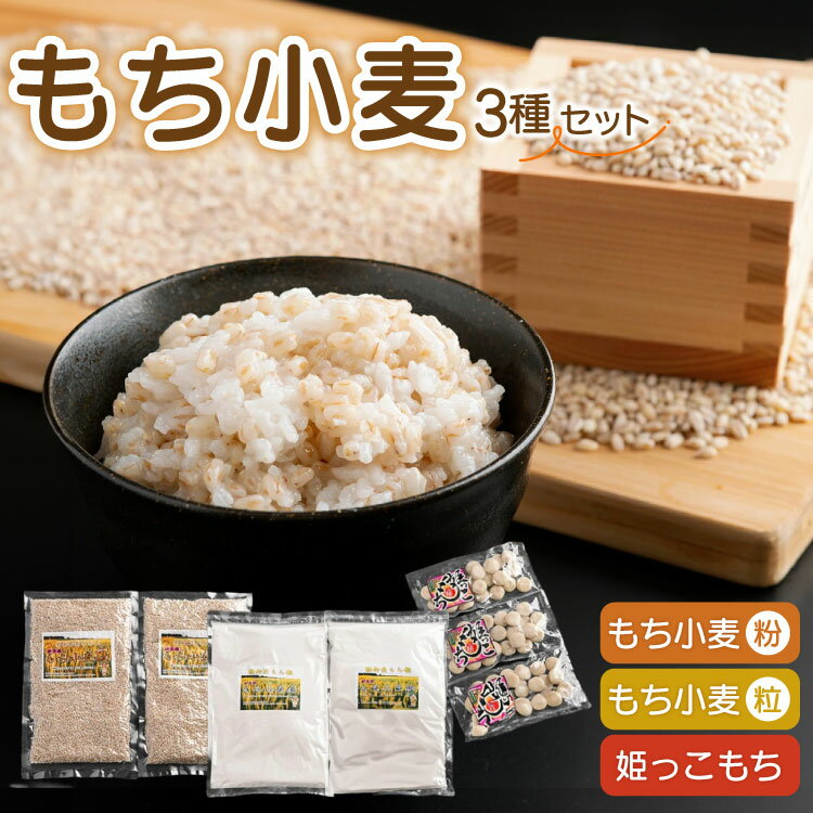 おいらせ町もち麦セット ふるさと納税 もち麦 セット 粒 もち小麦 姫っこもち 食物繊維 希少 健康 国産 すいとん おしるこ 簡単調理 青森県 おいらせ町 送料無料