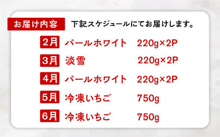 【10月1日金額改定予定！】【先行予約】【全5回定期便】白いちご2種と冷凍いちご / いちご イチゴ 苺 果物 フルーツ 定期便 / 佐賀県ふるさと納税 [41AAZZ004]