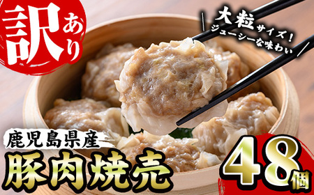 【訳あり】鹿児島県産豚肉使用！焼売48個セット(45ｇ×48個 合計2㎏超え！）ジューシーで食べ応えあり 訳ありは業務用なだけ♪焼売 シュウマイ しゅうまい 国産 お弁当 惣菜【A-1724H】