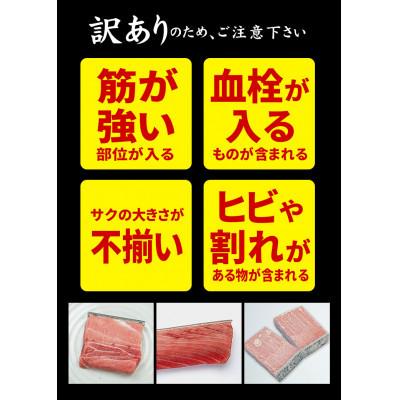 ふるさと納税 いわき市 【毎月定期便】本マグロ訳あり中トロ 真空包装 [約700g(3〜5ブロック)]全12回 |  | 03