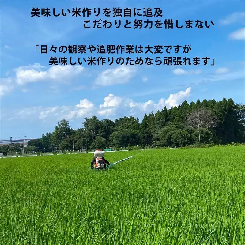 令和8年産 新潟県上越市産 コシヒカリ 10kg 10キロ 新米 先行予約 精米 新潟県上越市板倉区 コメランド こしひかり
