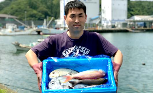 
            新鮮土佐魚の詰合せセットA
          
