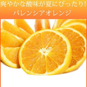 秀品 希少な国産バレンシアオレンジ 5kg ※2026年6月下旬～7月上旬頃に順次発送予定