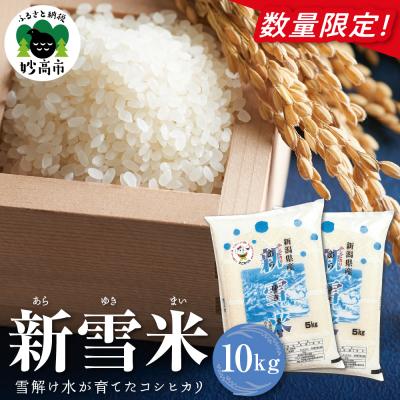 ふるさと納税 妙高市 新雪米(あらゆきまい)10kg