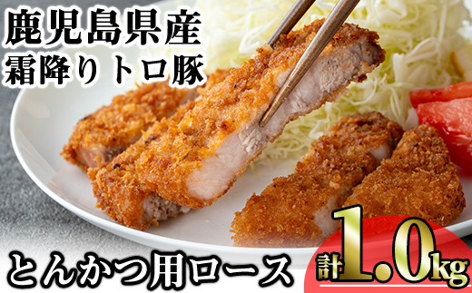 ＜内容量が選べる！＞鹿児島県産霜降りトロ豚 とんかつ用ロース (計1kg・200g×5枚) 鹿児島県産 豚肉 霜降り 【KNOT】 A571