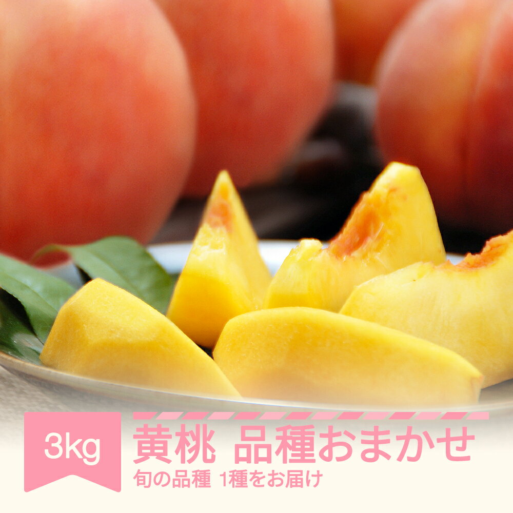 【ふるさと納税】先行予約 黄桃 もも 品種おまかせ 約3kg 2025年産 山形県産 令和7年産 送料無料※沖縄・離島への配送不可