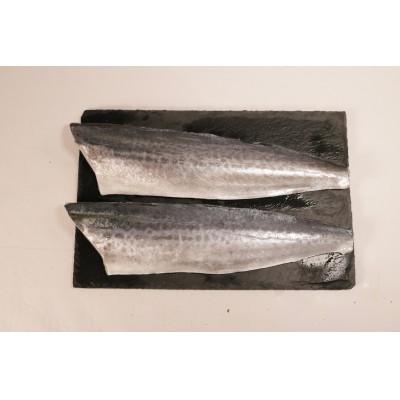 ふるさと納税 銚子市 汐さわら・昆布エキス仕込 5kg |  | 02