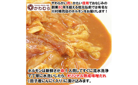 【数量限定】お肉屋さんの味付け豚生ホルモン4kg盛り(1kg×4袋)