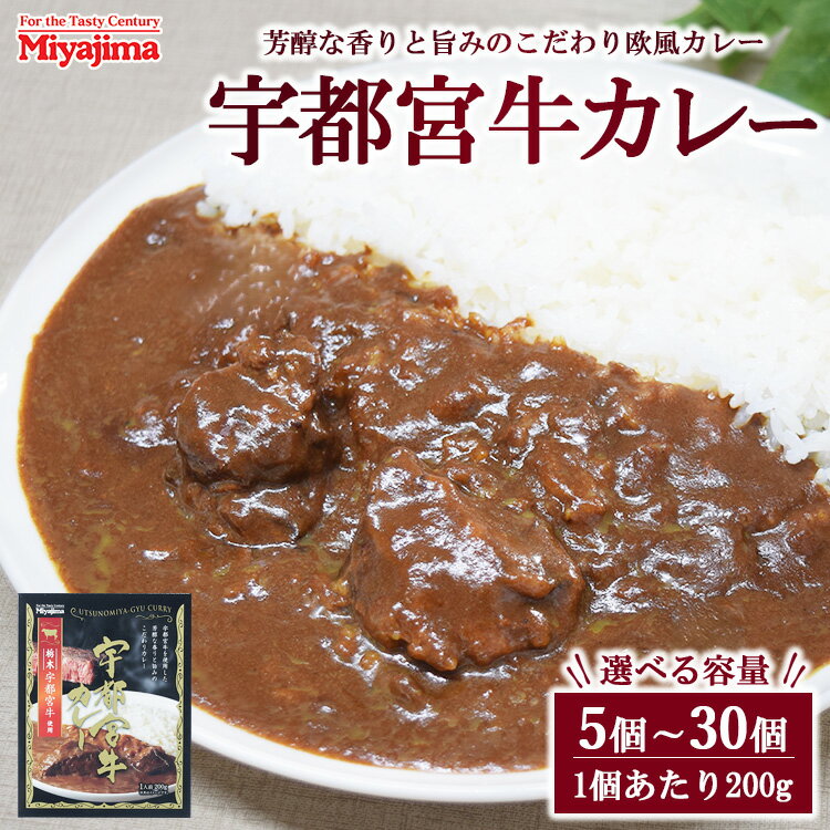 【ふるさと納税】【選べる容量】宇都宮牛カレー 200g 5個～30個セット