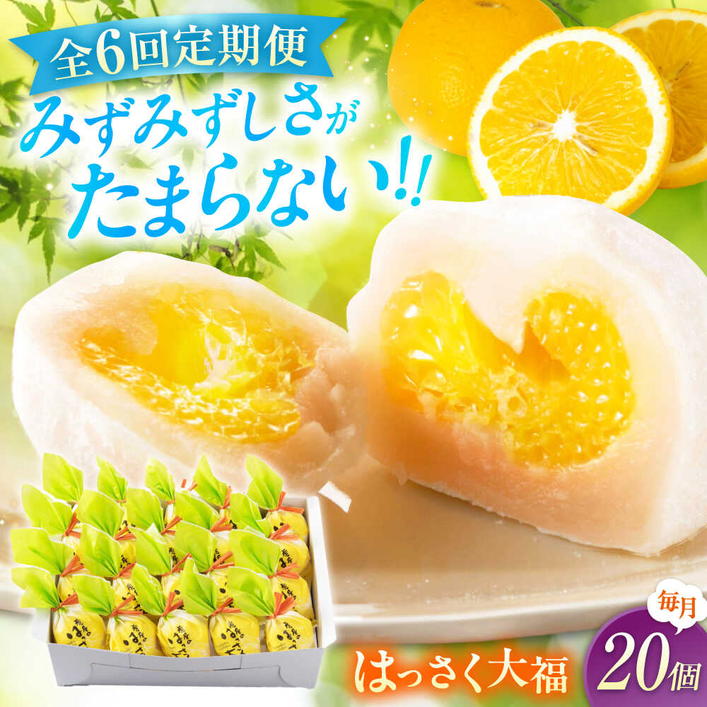 【ふるさと納税】【6回定期便】お菓子 はっさく大福 20個入　 お菓子 大福 八朔 柑橘 みかん オレンジ はっさく 餅 ギフト お取り寄せ スイーツ フルーツ大福 ご当地 菓子 おかし デザート 食品 人気 おすすめ 広島県福山市/株式会社虎屋本舗[BADH031]