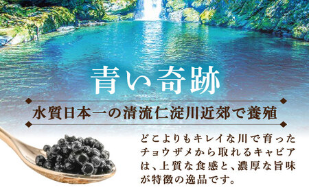 高知産熟成 キャビア キャビアフィッシュペースト 贈答セット / キャビアサメ 料理【興洋フリーズ株式会社】 [ATBX011]