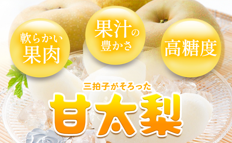 【2026年先行予約】【訳あり】甘太梨 約3kg 3-10玉前後 高間商店《2026年9月下旬-11月上旬頃出荷予定》 鳥取県 八頭町 梨 なし ナシ 果物 フルーツ ご家庭用 先行予約 ふるさと納税