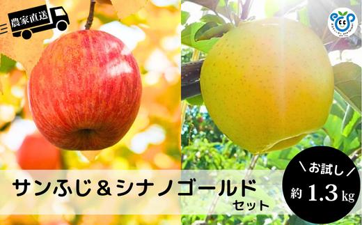 HF51-25A【信州松川町産】サンふじ＆シナノゴールド2種セット 約1.3kg／12月上旬頃 発送予定 // 長野県 南信州 オリジナル品種 減農薬栽培 エコファーマー認証農家 りんご 詰合せ 食べ比べ