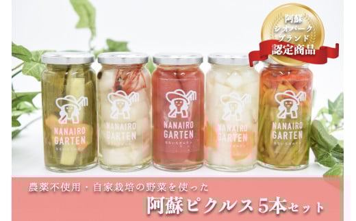 毎年大人気！阿蘇ピクルス5本セット  阿蘇ピクルス 5本 セット 5種 140g ピクルス 詰め合わせ ピーマン パプリカ 里芋 きゅうり 胡瓜 アイコトマト 大根 ギフト 贈答用 工房 菜々色 熊本 阿蘇 南小国町 送料無料