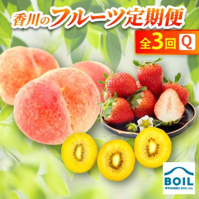 ふるさと納税 香川県 【発送月固定定期便】香川のフルーツ(3Q)全3回