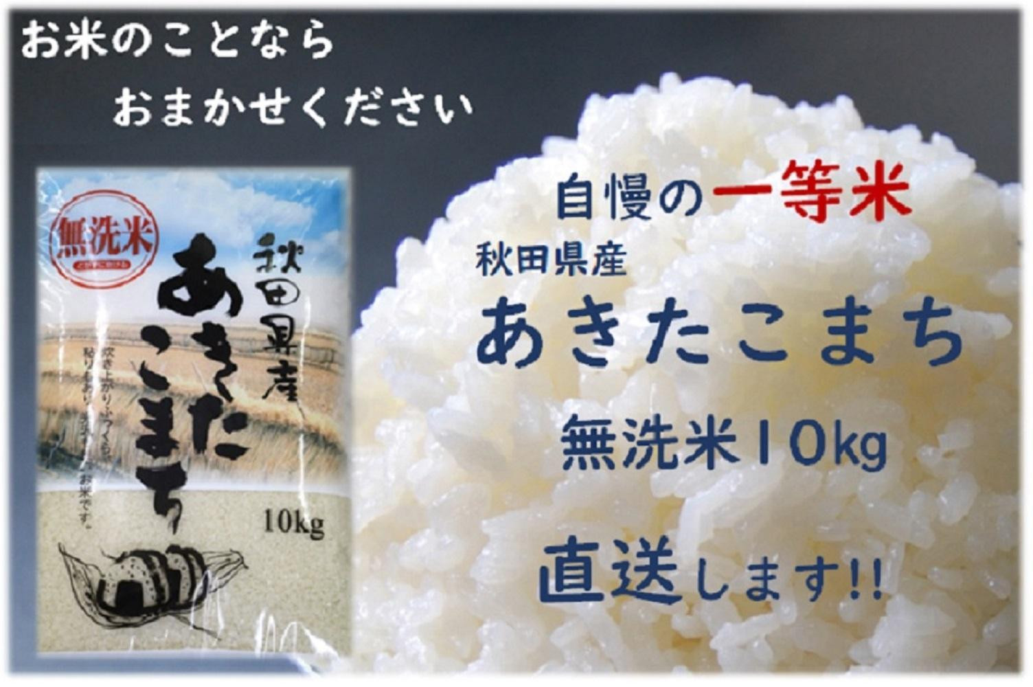 
            令和6年産 秋田県産あきたこまち 一等米 農家直送 無洗米10kg
          