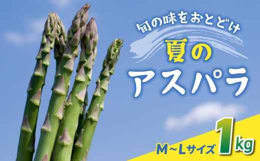先行予約2025年発送【のららぼ農園】農家直送！新鮮！夏獲れ細（M〜L）アスパラ1kg（およそ35〜50本）※2025年7月上旬〜9月中旬発送予定