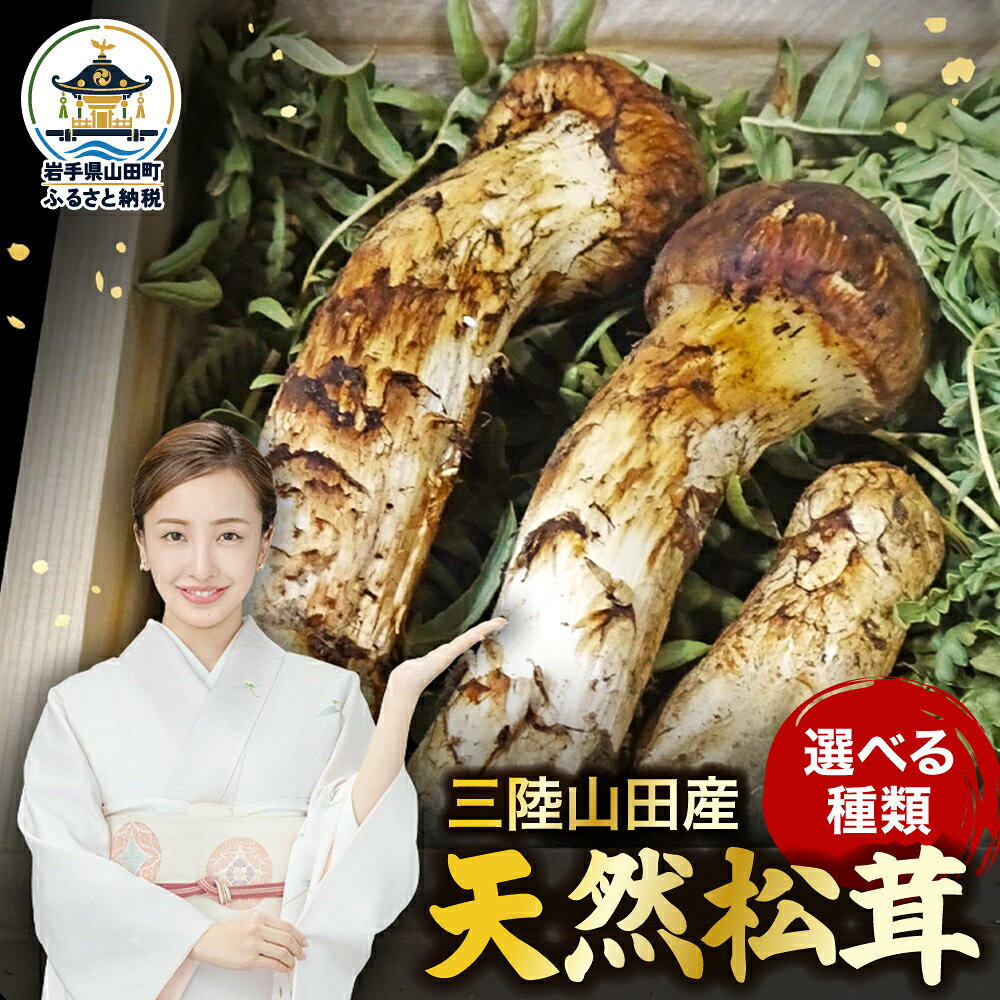 【ふるさと納税】松茸 国産 70g～150g 天然 ≪2026年先行予約 9月中旬～11月下旬発送予定！≫ ふるさと納税 松茸 ふるさと納税松茸 松茸ふるさと納税松茸 国産ふるさと納税 野菜 山田産野菜 季節限定 ベルアクト