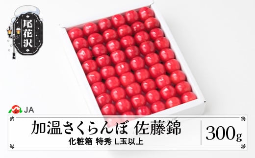 
            先行予約 加温 ハウス さくらんぼ 佐藤錦 300g 化粧箱 特秀L玉以上 早出し 4月下旬~5月中旬頃発送 山形県産 令和8年産 2026年産 サクランボ ja-snkxx300
          