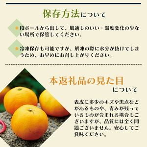 しらぬひ 讃岐 柑橘 デコポン しらぬひ【約3kg】【先行予約】