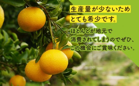 長崎県産スイートスプリング 約10kg【田崎FARM】[OCU001] / 柑橘スイートスプリング柑橘スイートスプリング柑橘スイートスプリング