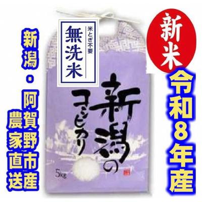 ふるさと納税 阿賀野市 【令和8年産新米】 新潟県産 「従来こしひかり」 無洗米 5kg
