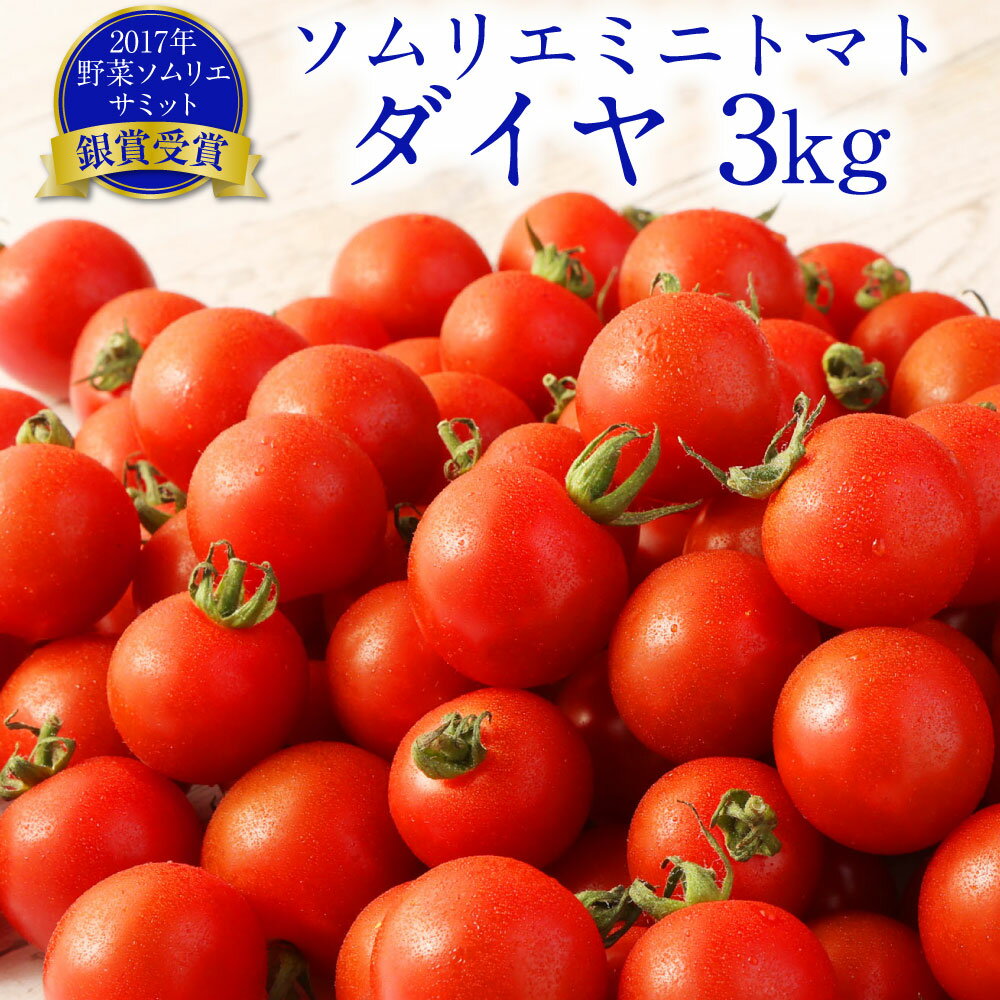 【ふるさと納税】熊本県 ソムリエミニトマト ダイヤ 3kg ソムリエ トマト とまと ミニトマト 野菜 旬 新鮮 塩 塩トマト 熊本県 冷蔵 送料無料 【2024年12月上旬発送開始】
