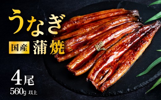 【 発送月・容量が選べる！ 】【 11月発送 】 国産 うなぎ蒲焼 上うなぎ4尾 560g以上 タレ・山椒付き 鰻 ウナギ たれ タレ たっぷり うな重 鰻重 ひつまぶし