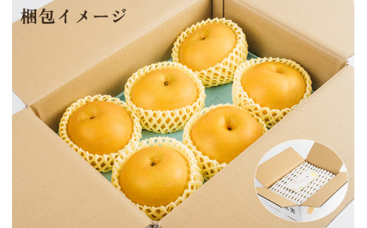【2026年先行予約】新潟県産 厳選 幸水梨 3kg（7～11玉）《8月上旬以降発送》 和梨 なし ナシ 果物 こうすい フルーツ 加茂市 いたみ果樹園