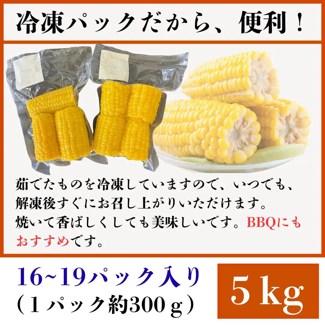 とうもろこし 5kg 冷凍トウモロコシ 秋田県産 パック 訳あり