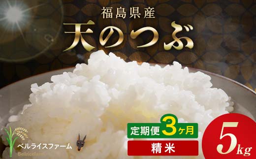 〈先行予約〉令和8年産【お米の定期便】3ヶ月配送 農家直送 ベルライスファーム 天のつぶ 精米 5kg F6U-448