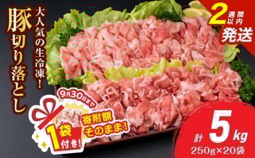【9/30まで!!】大人気 生冷凍 厳選 豚切り落とし 計5kg 豚肉 おすすめ 国産 食品 焼肉 肉じゃが 豚汁 野菜炒め おかず お弁当 晩ご飯 グルメ 小分け 個包装 真空パック おすそ分け お取り寄せ 新鮮 万能食材 宮崎県 日南市 送料無料_E51-25-ZO-2W