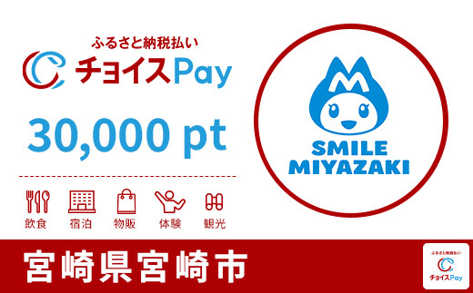 
            宮崎市チョイスPay 30,000pt【会員限定のお礼の品】
          