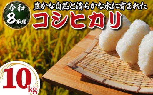 令和8年産 米 コシヒカリ 選べる 10kg 白米 ご飯 おにぎり お弁当 ギフト 贈答 プレゼント お取り寄せ グルメ 先行予約 送料無料 10キロ １０キロ 徳島 小松島