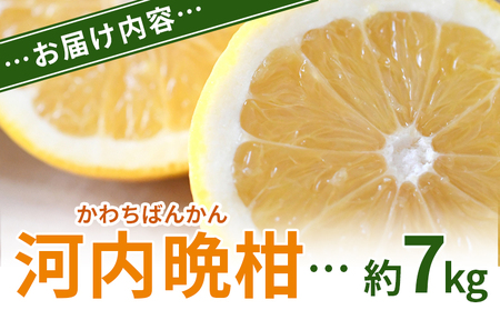 ＜河内晩柑 約7kg＞ 果物 くだもの みかん ミカン 柑橘 フルーツ かわちばんかん カワチバンカン ジューシーフルーツ 愛南ゴールド 御荘柑 国産 7キロ 特産品 産地直送 段畑みかん 愛媛県 西