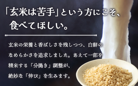 玄米もち 24個（6個入り×4パック） | 玄米餅 おもち