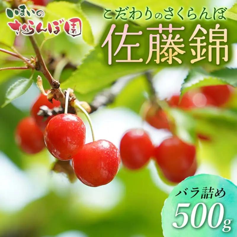 【令和9年産先行予約】こだわりのさくらんぼ「佐藤錦」（Lサイズ以上）バラ詰め 500g いまいのさくらんぼ園 K-935